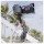 Fotopro Ufo Mogo Basic Tripod Stand for Camera iPhone Phone